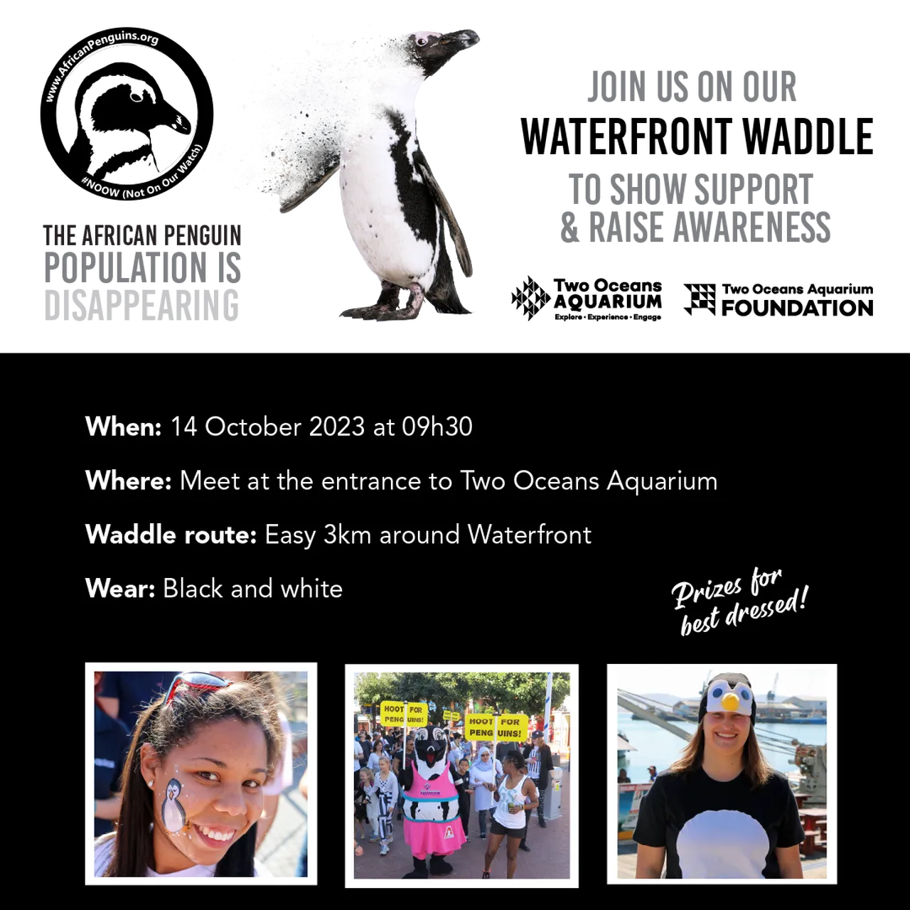 Artboard 1 1 97abba0a76129fecff03f4ba945fd714