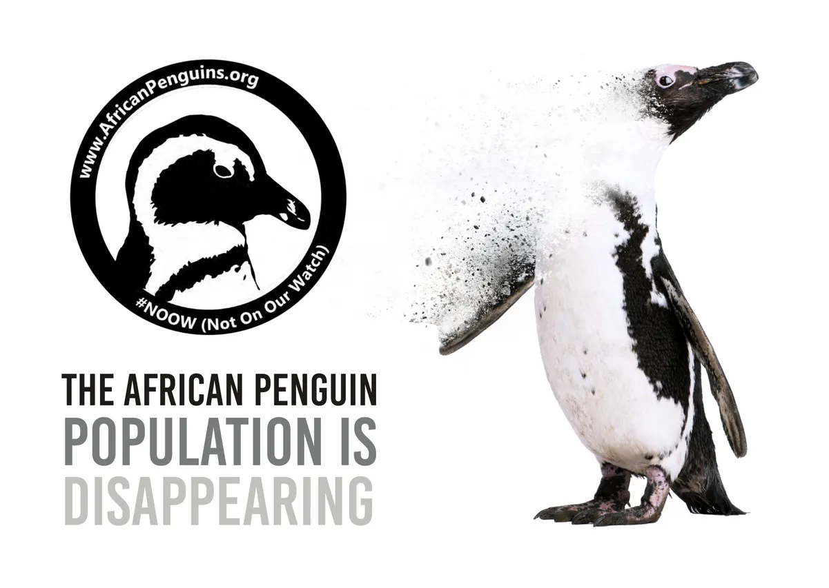 Penguin Waddle Placard 1