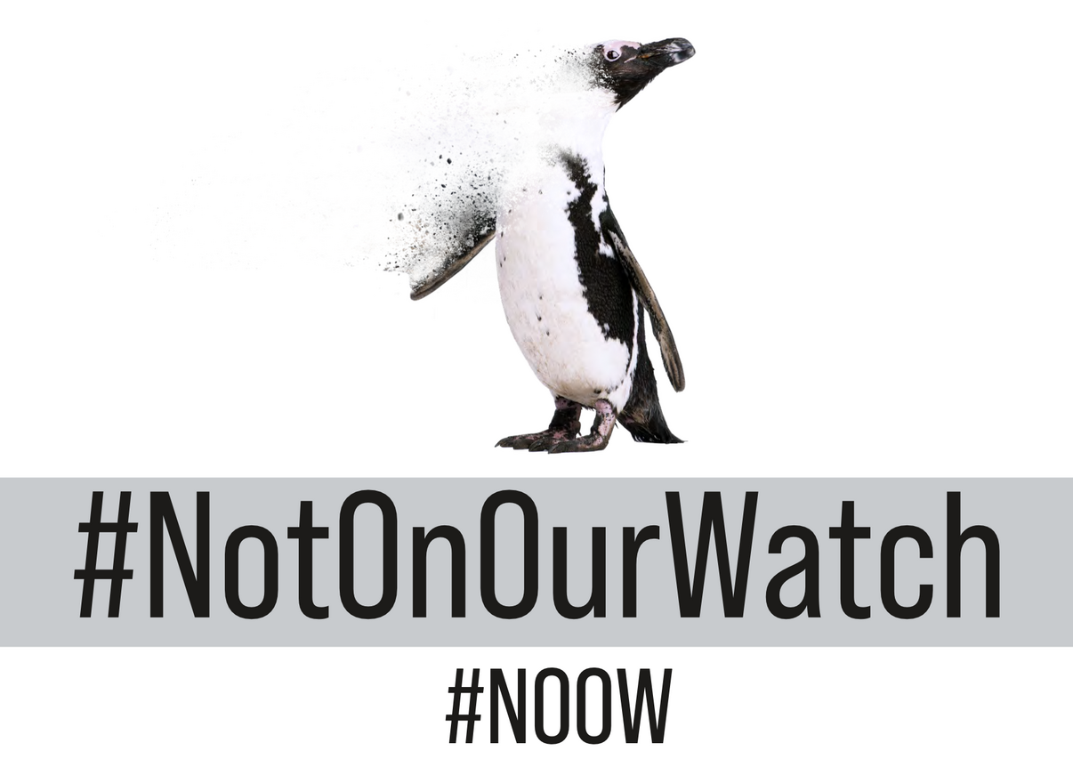 Penguin Waddle Placard 2