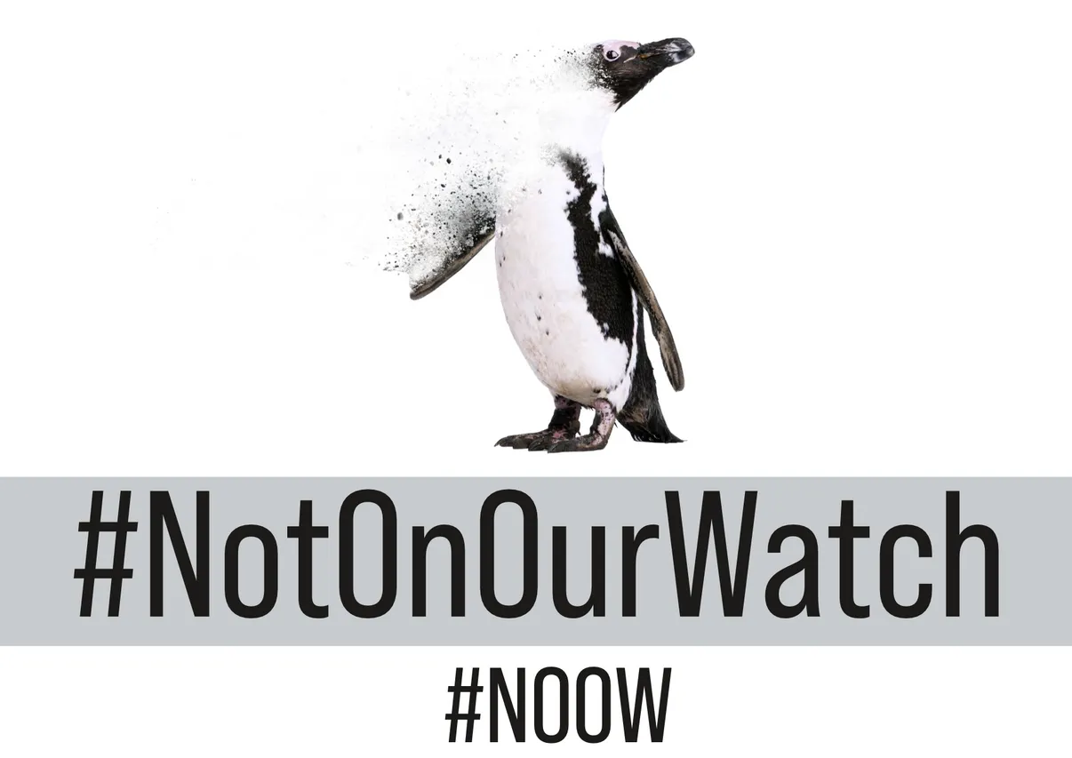 Penguin Waddle Placard 2