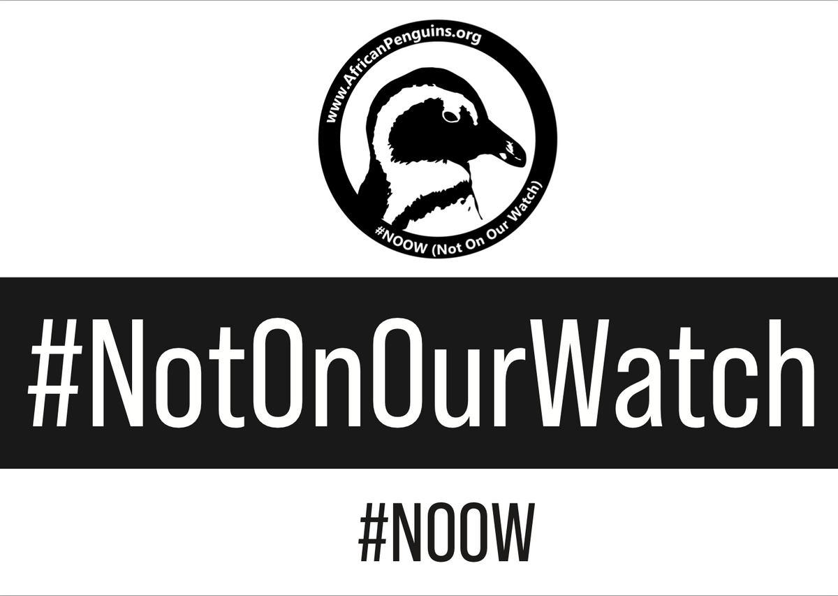 Penguin Waddle Placard 5