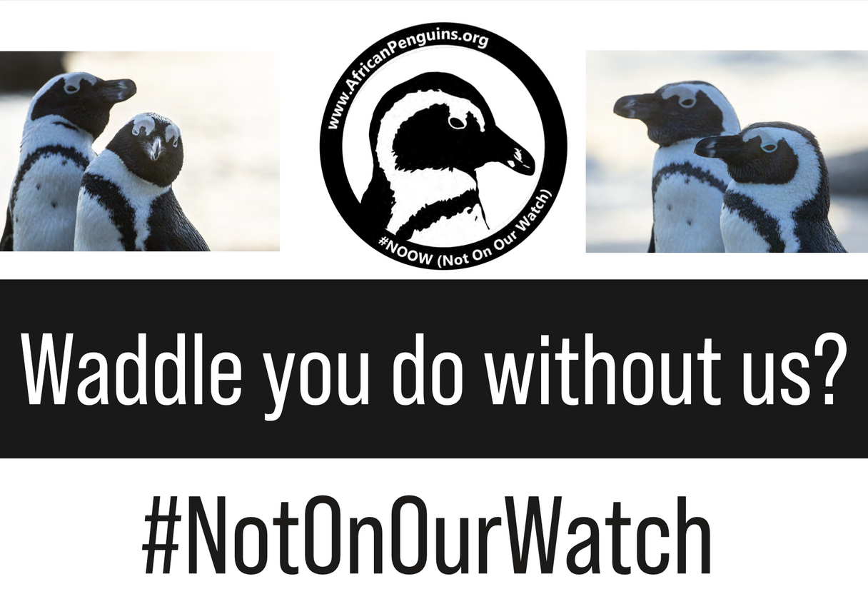 Penguin Waddle Placard 6