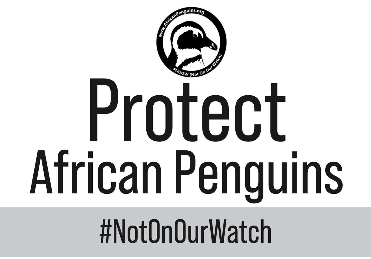 Penguin Waddle Placard 8