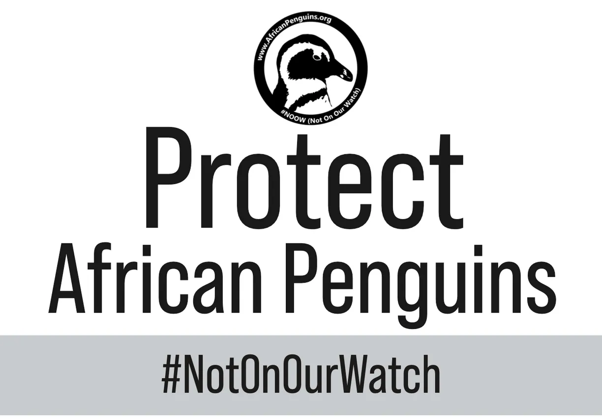 Penguin Waddle Placard 8