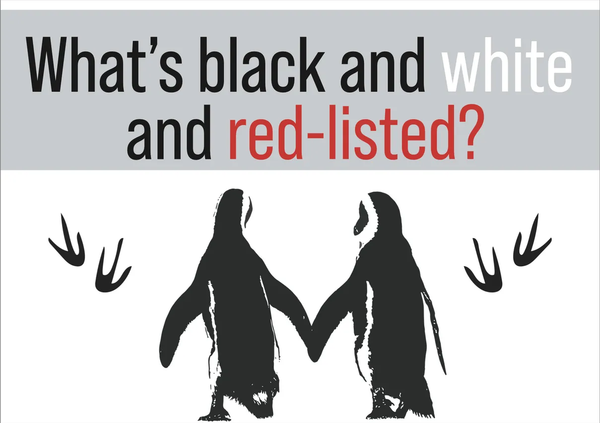 Penguin Waddle Placard 9