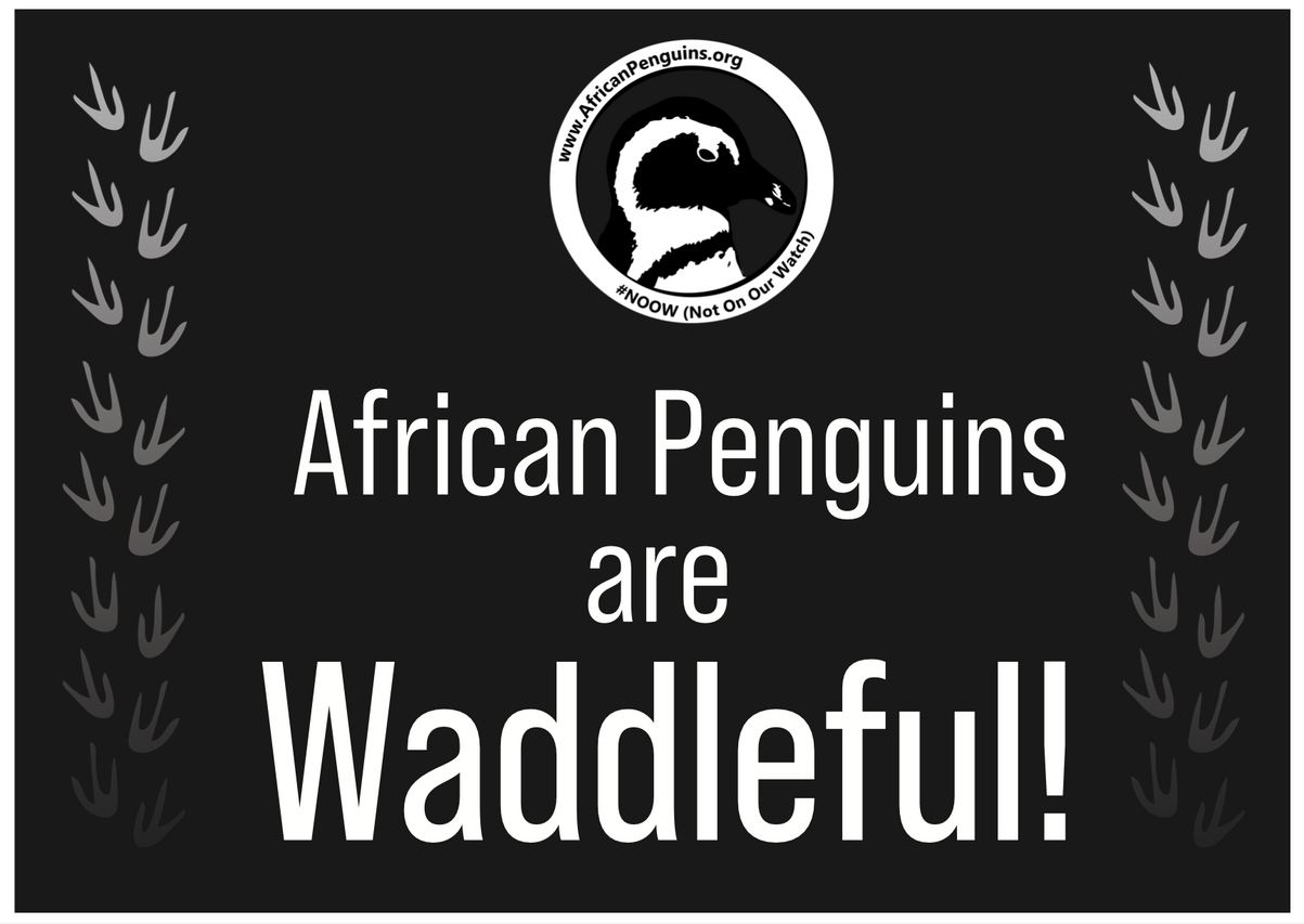 Penguin Waddle Placard 11