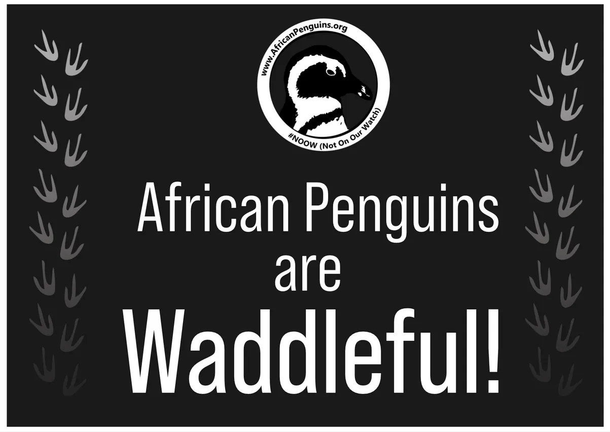 Penguin Waddle Placard 11