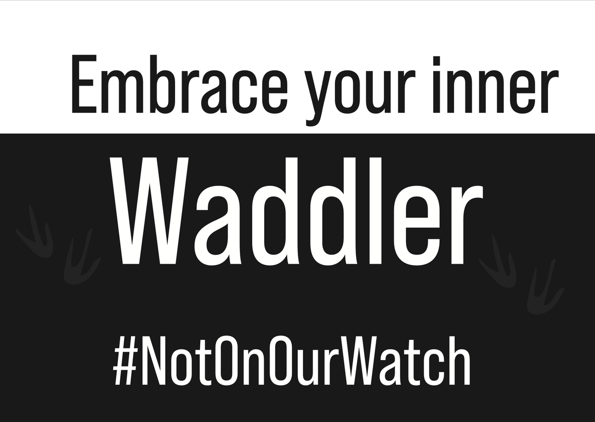 Penguin Waddle Placard 12