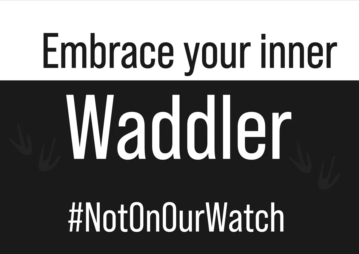 Penguin Waddle Placard 12