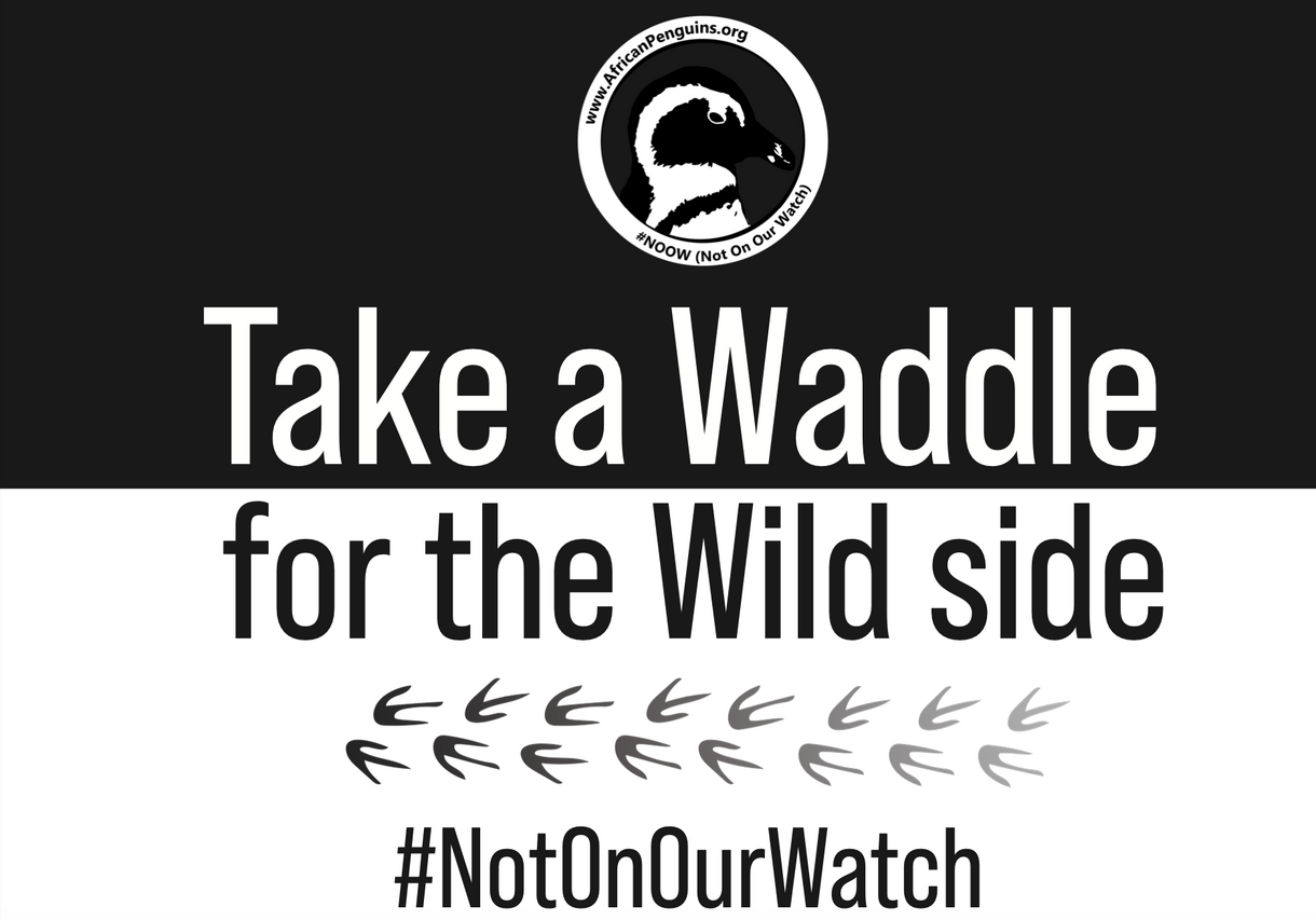 Penguin Waddle Placard 13