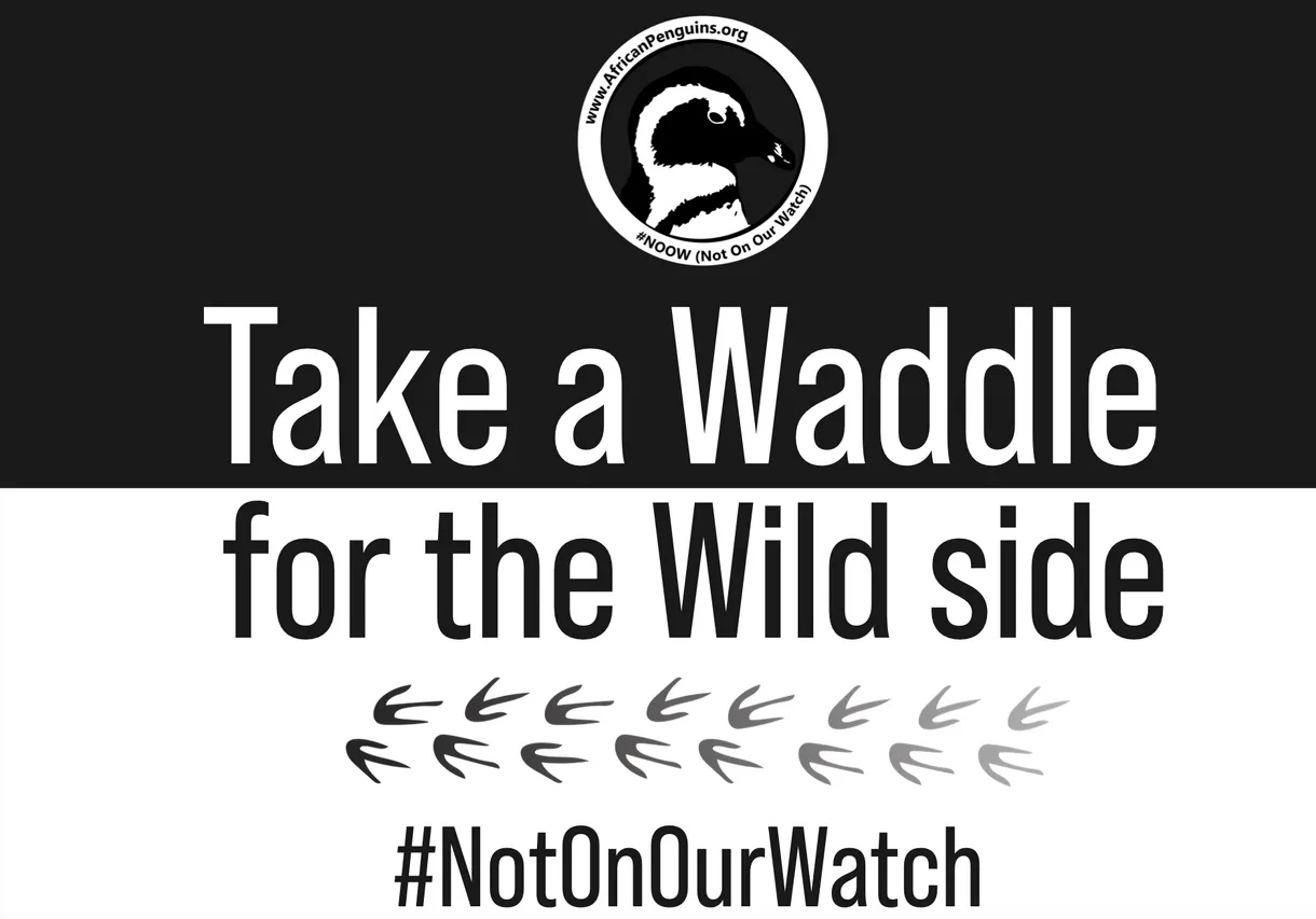 Penguin Waddle Placard 13