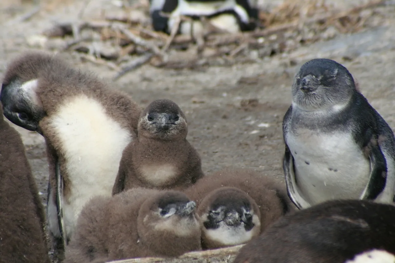 9453692859 48c89ae472 b