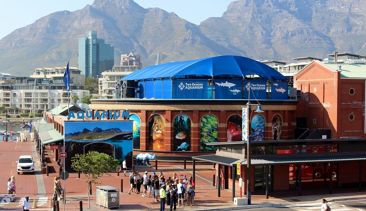It's our birthday! The Two Oceans Aquarium turns 29