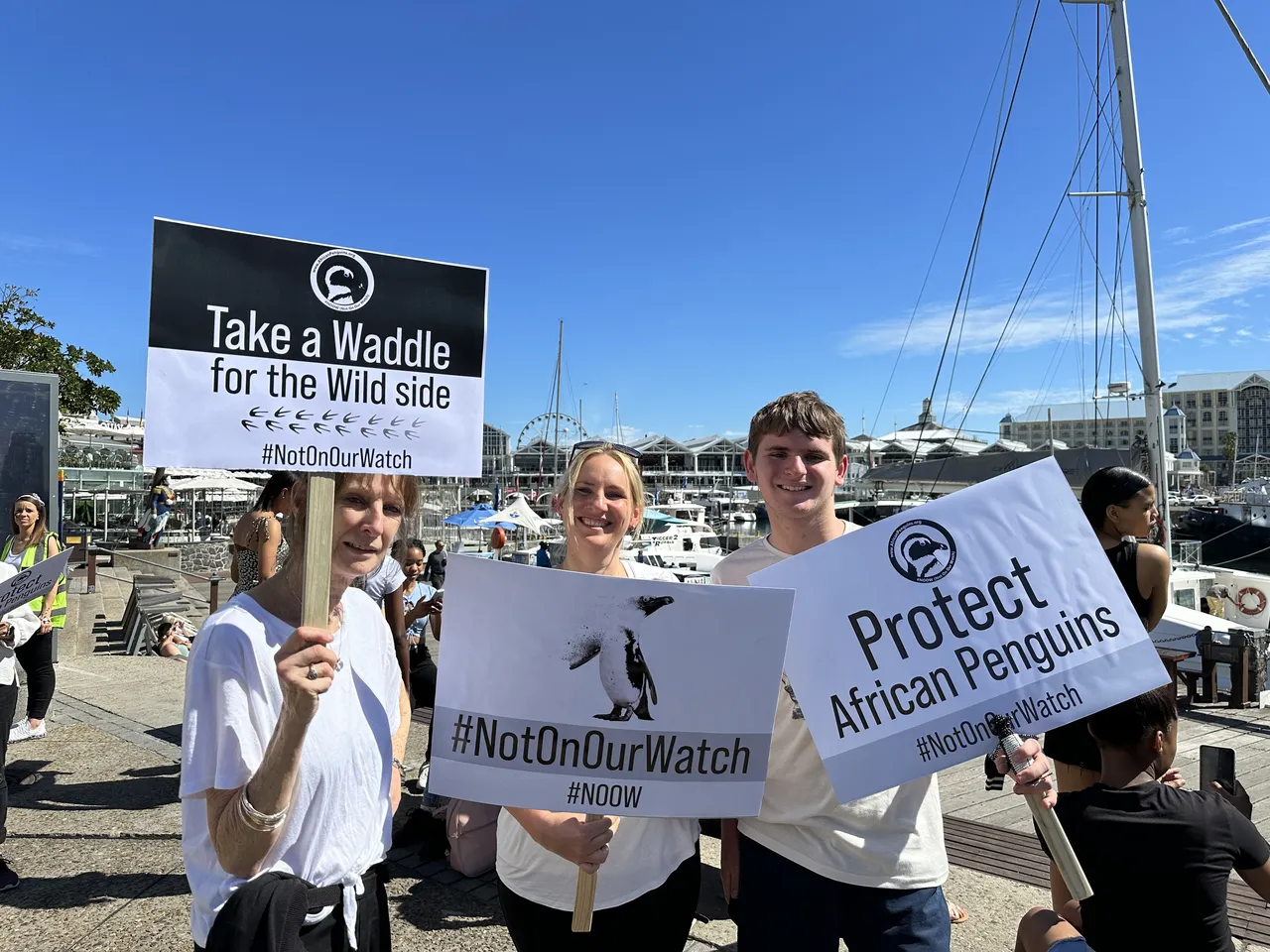 Waddle wonderful walk!