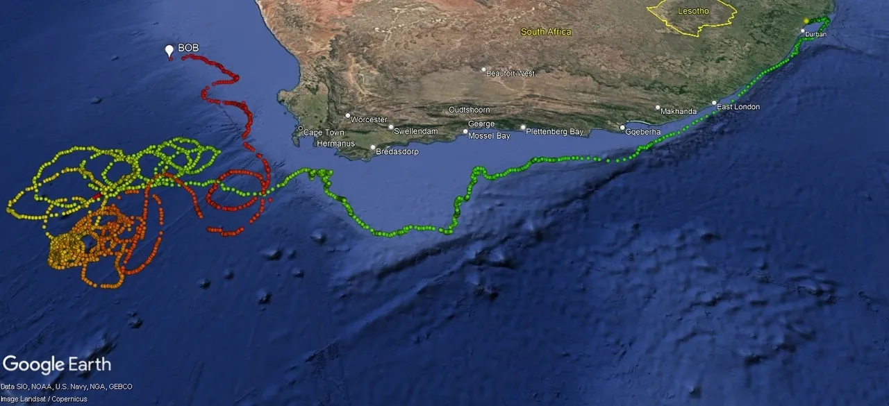 Tracking Turtles: Bob's final update!