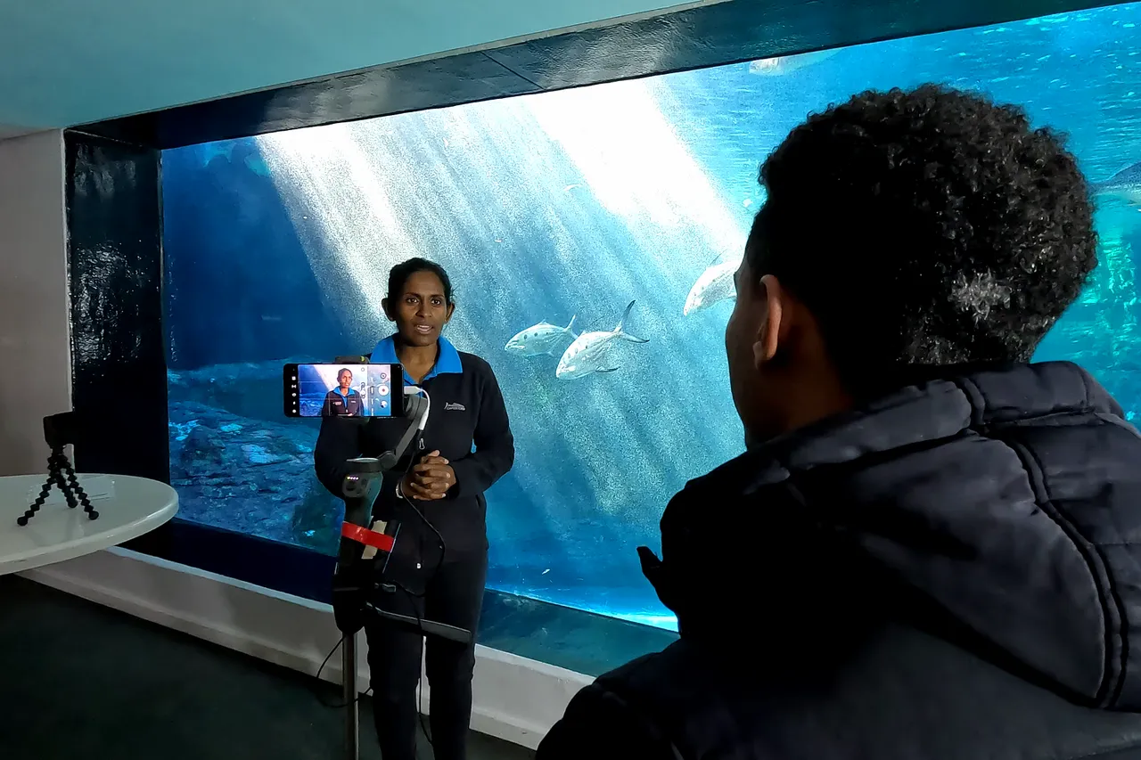 Vlcsnap 2022 07 15 13h21m32s190