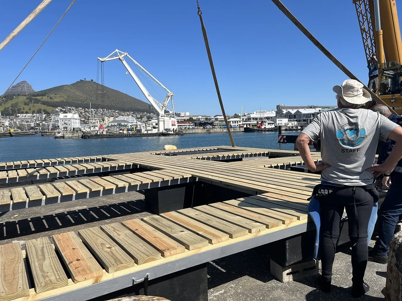 New and improved seal platform: Making seal rescues safer (and easier)