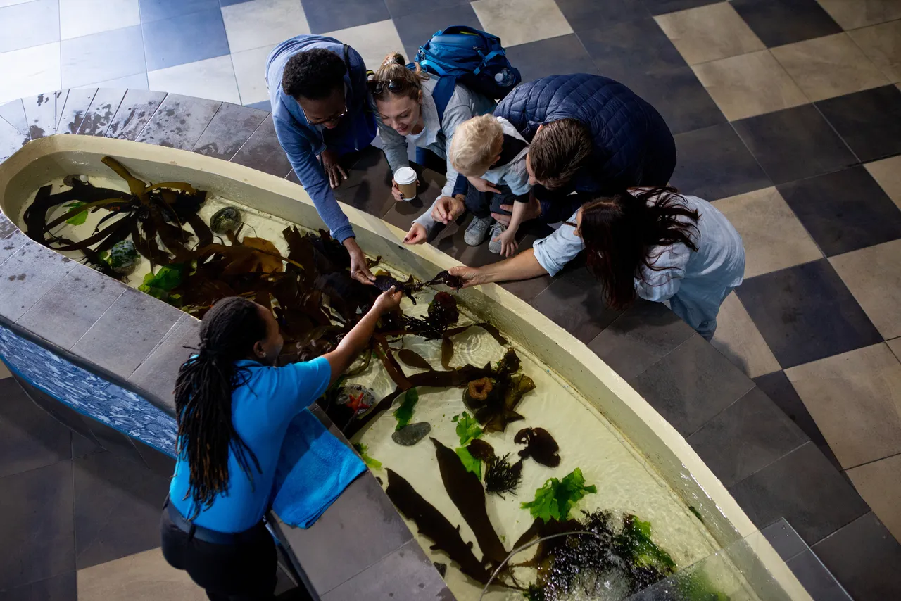 Volunteer at the Two Oceans Aquarium!