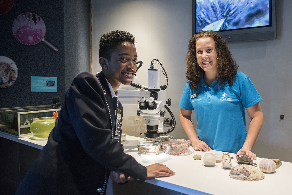 Two Oceans Aquarium Foundation a Two Oceans Aquarium…
