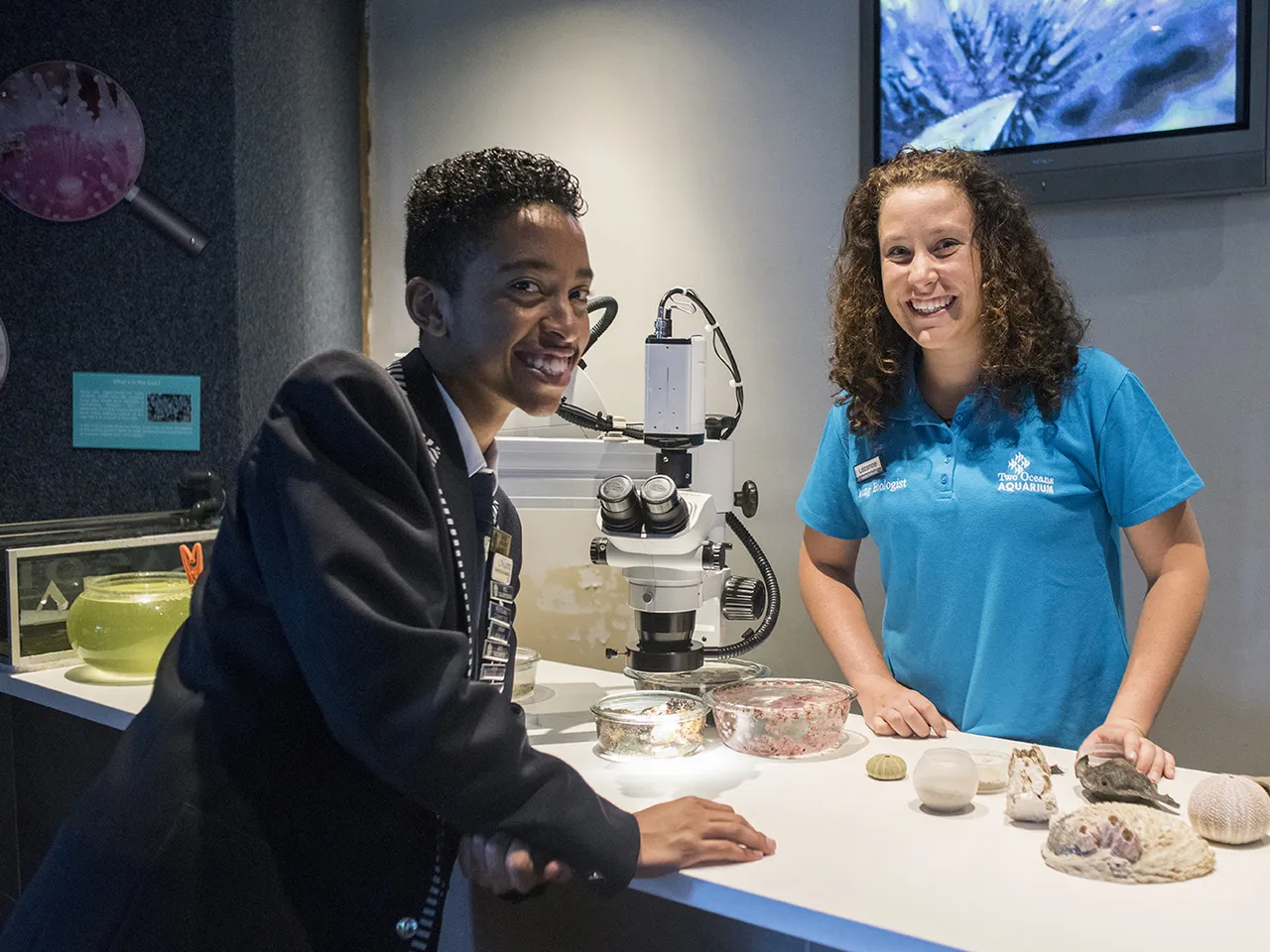 Volunteer at the Two Oceans Aquarium
