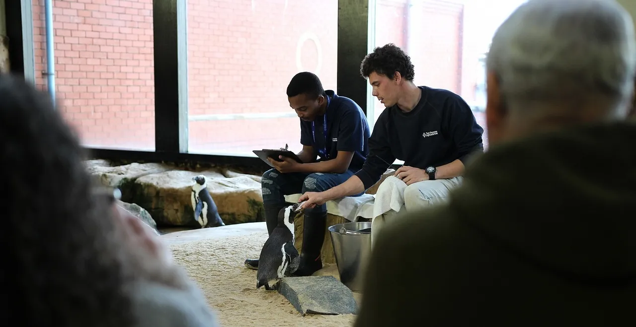 Feeding times: The return!