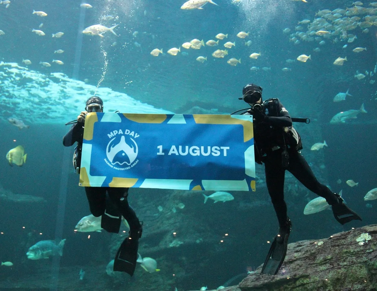 It's mpa day! a celebration of our iconic species and the crucial habitats that they call home