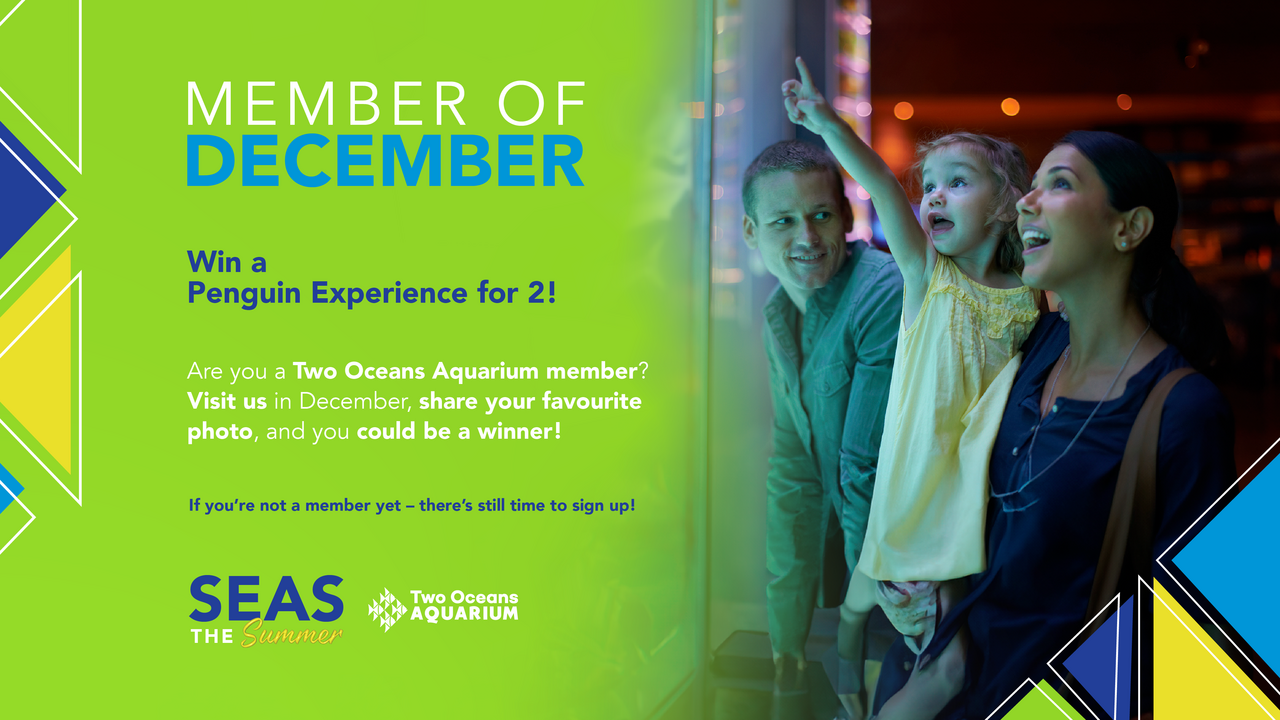Be the "Member of December" and win!