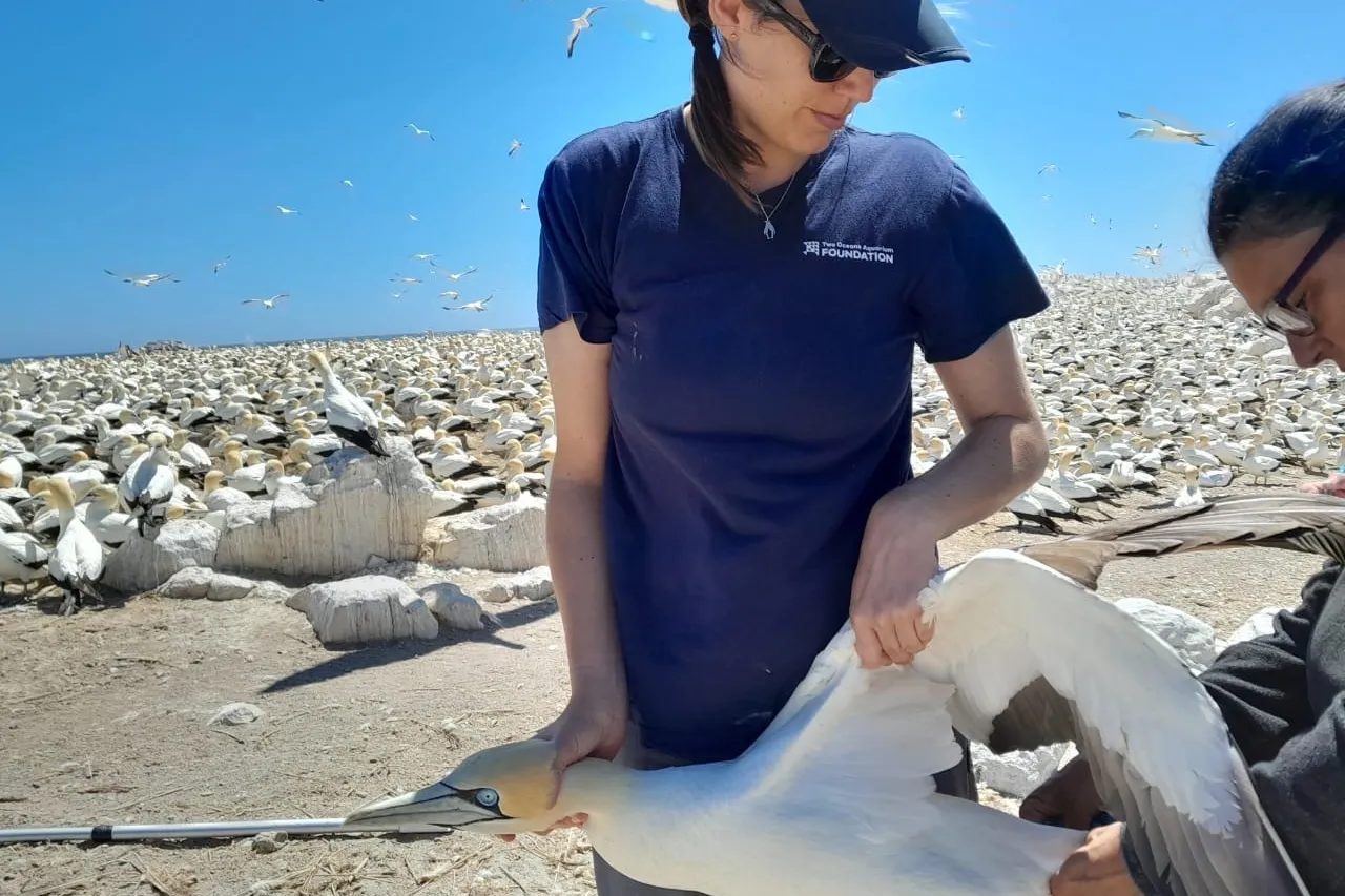 1f2d6c70 70d3 48ec bc9a 7fa0e4a149c4