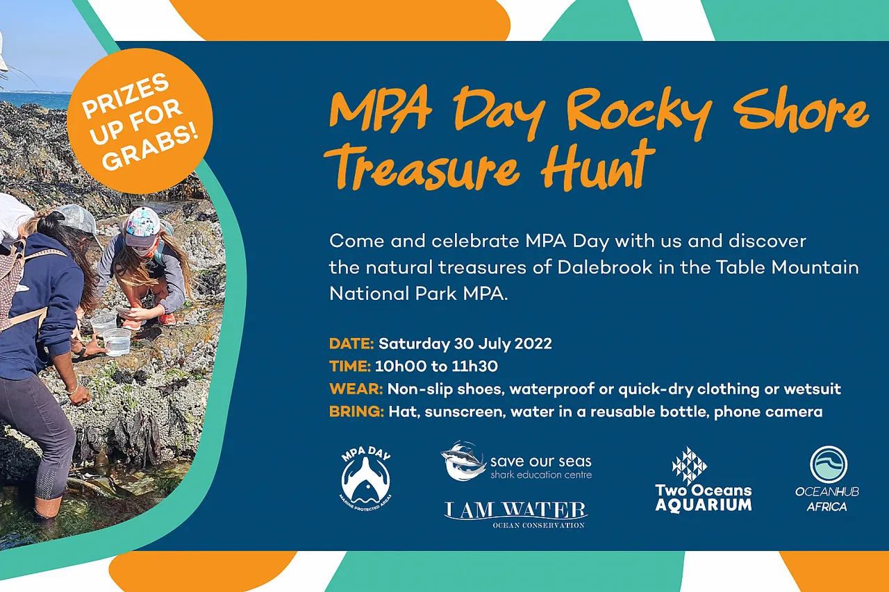 MPATREASUREHUNT 2022 AQ HEADER copy 2