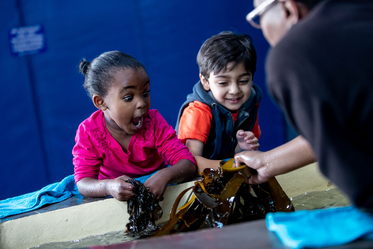 An Aquarium membership: the best gift of all