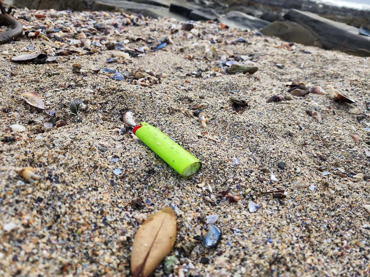 Thanks for joining us at Mouille Point for Trash Bash