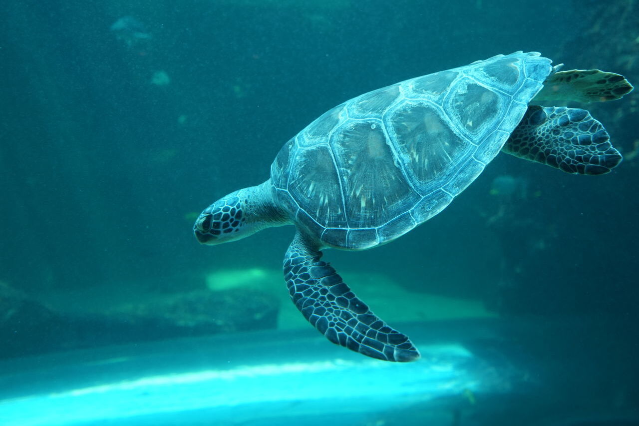 DSC04609 2f8ab07c3b37edb454c896adad412303