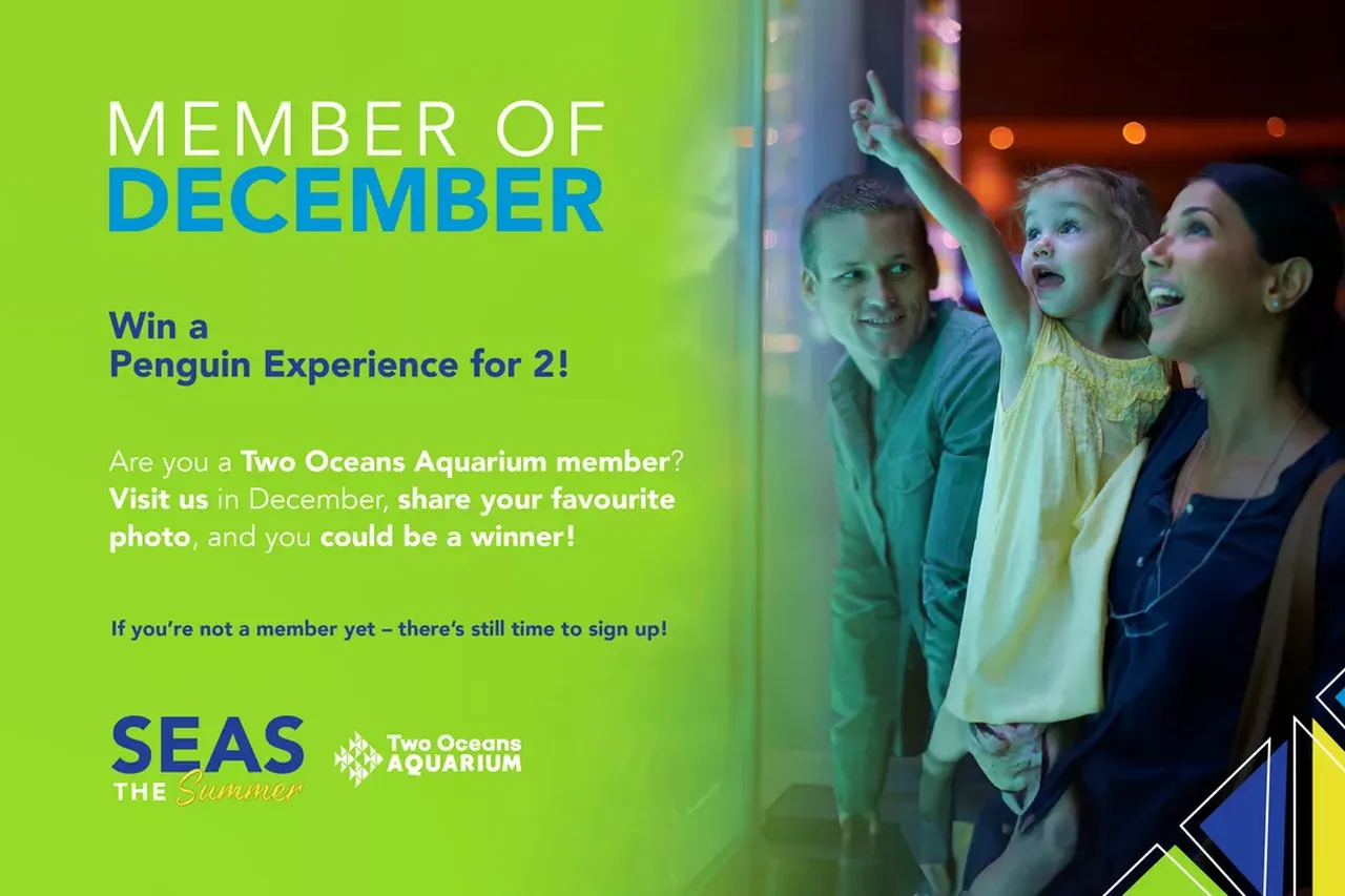 HOLIDAYCAMPAIGN MEMBEROFMONTH TOA 2023 BLOG IMAGE 2f8ab07c3b37edb454c896adad412303