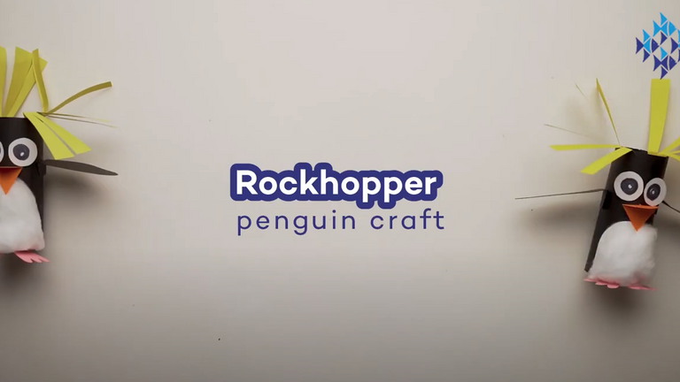 How to be more sustainable this festive season!