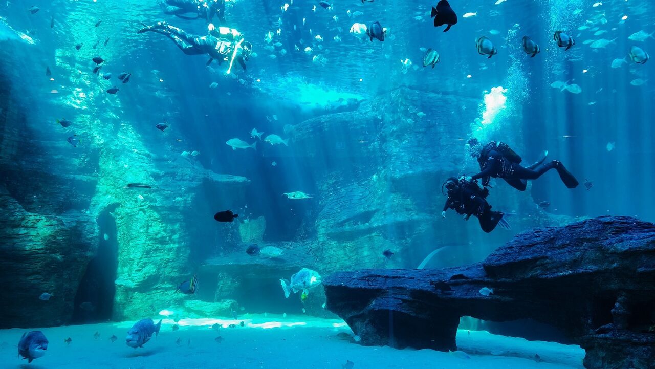 What is a padi discover scuba diving experience?