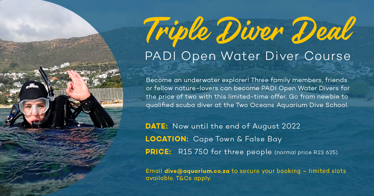 Triple diver deal: padi open water diver course for three people - for the price of only two