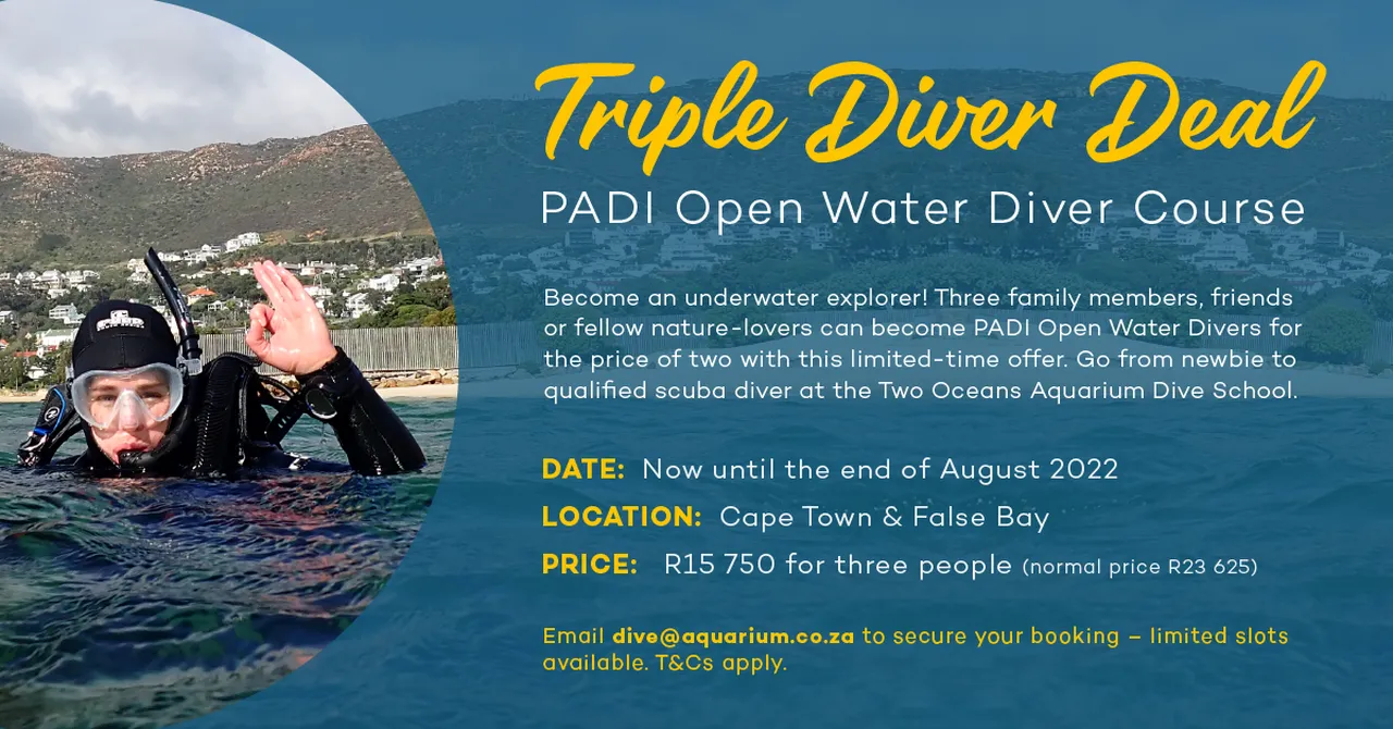 Triple diver deal: padi open water diver course for three people - for the price of only two