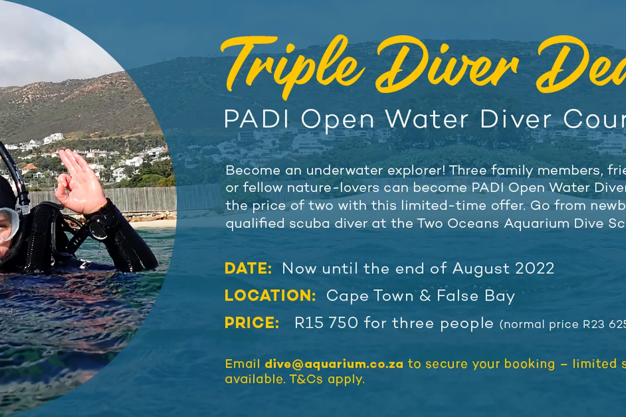 TRIPLEDIVERDEAL 2022 AQ 01