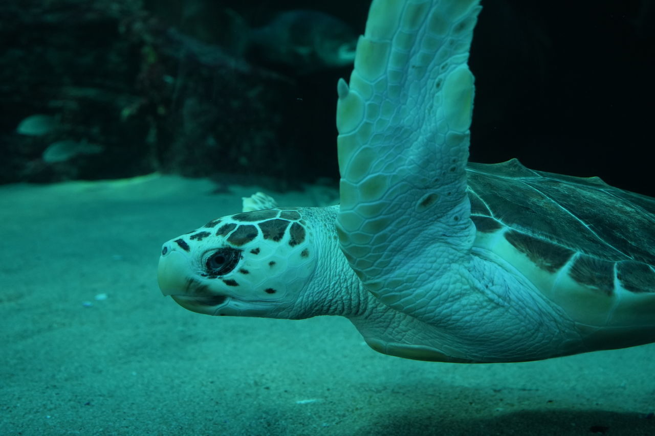 DSC00274 2023 09 05 080636 pjhr 8b4d6721ce7a5a4052f3c07d20423959