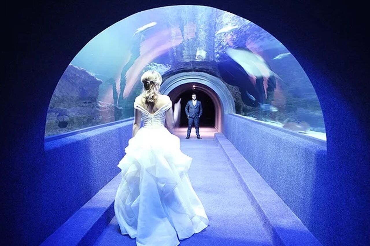 Functions5 3ee240c54896e7dbb109ec2280baf1ed