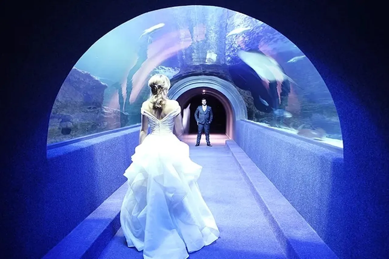 Functions5 3ee240c54896e7dbb109ec2280baf1ed