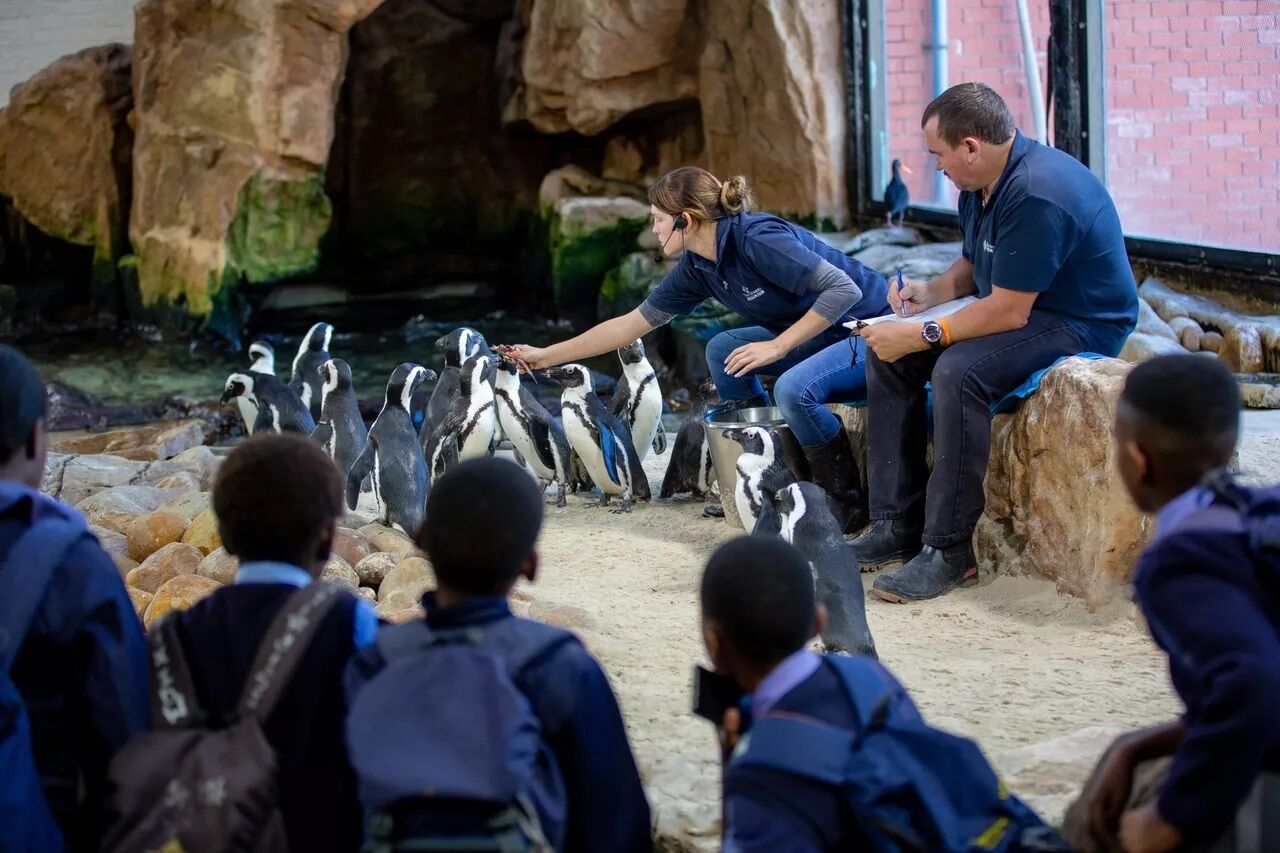 Y66 A0311 8b4d6721ce7a5a4052f3c07d20423959