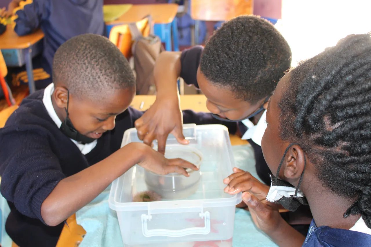 Oceans in motion with dhl: bringing the aquarium to your classroom