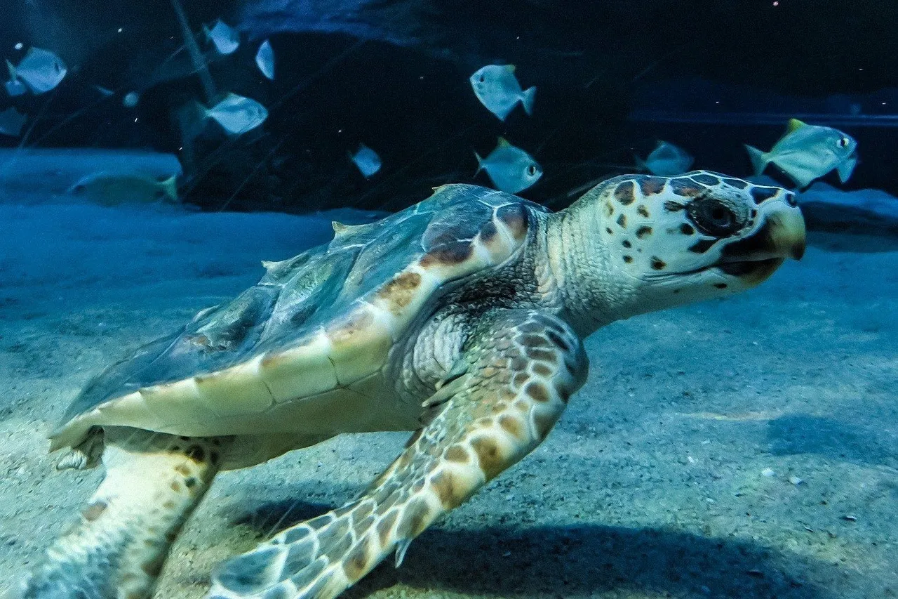 IMG 20220323 075231 1 edited