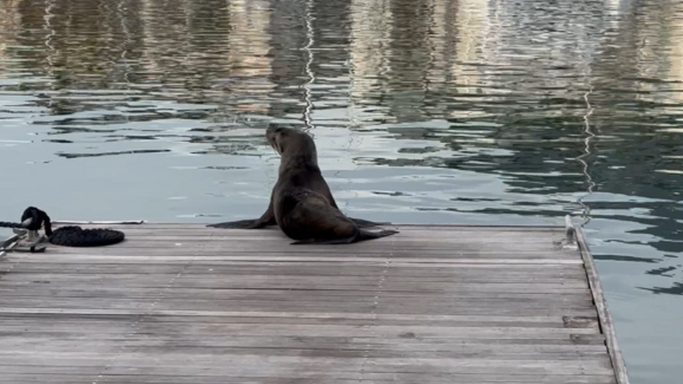 2023 recap: A look back at an incredible year!