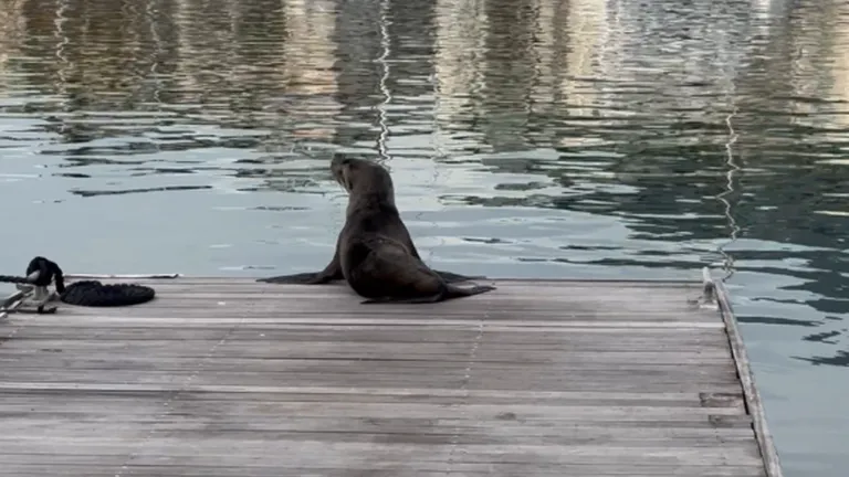 2023 recap: A look back at an incredible year!