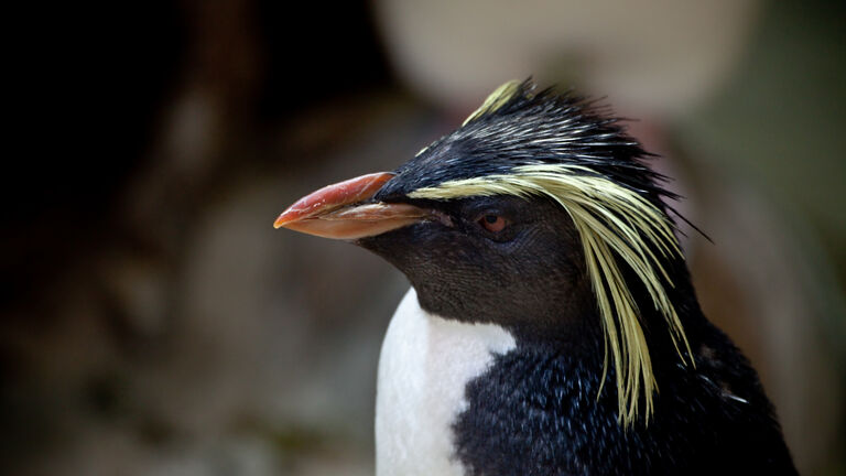 2023 recap: A look back at an incredible year!