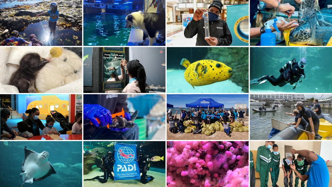 Highlights of 2021: working together to achieve more