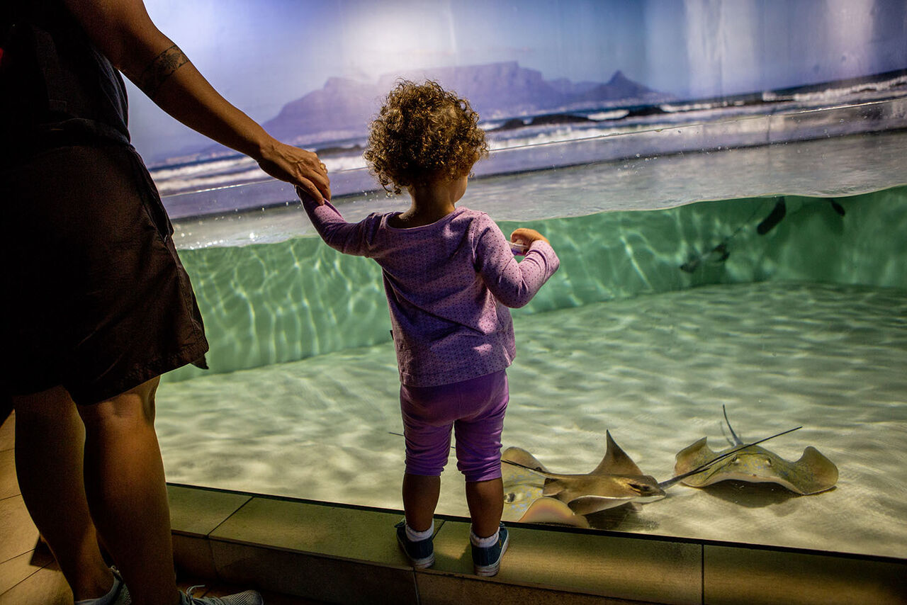 Works of art: shot by you!