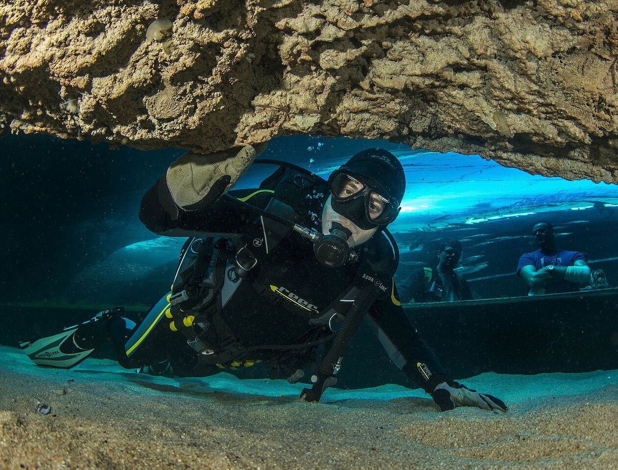 Dive gear 101: wetsuits